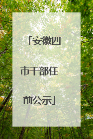 安徽四市干部任前公示