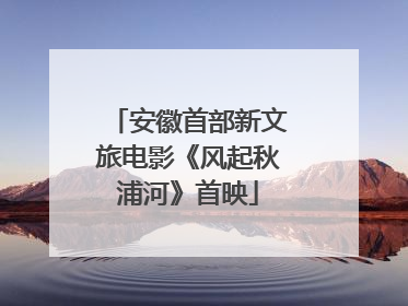 安徽首部新文旅电影《风起秋浦河》首映