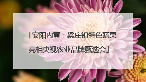 安阳内黄：梁庄镇特色蔬果亮相央视农业品牌甄选会