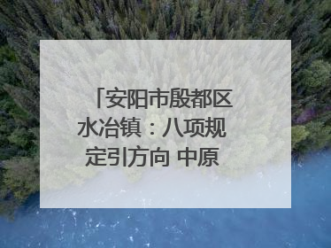 安阳市殷都区水冶镇：八项规定引方向 中原第一镇谱新章