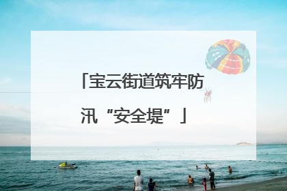 宝云街道筑牢防汛“安全堤”