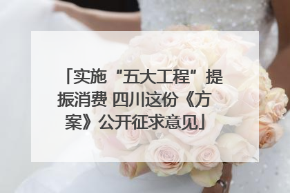 实施“五大工程”提振消费 四川这份《方案》公开征求意见