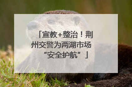 宣教+整治！荆州交警为两湖市场“安全护航”