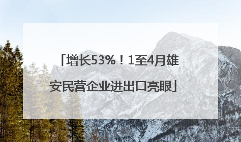 增长53%！1至4月雄安民营企业进出口亮眼