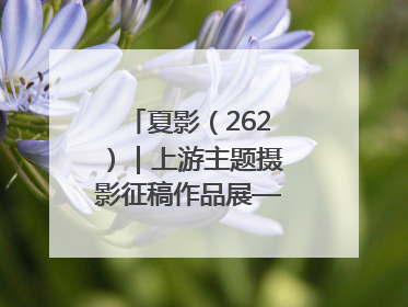 夏影（262）｜上游主题摄影征稿作品展——黄红专作品