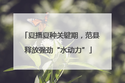 夏播夏种关键期，范县释放强劲“水动力”