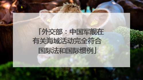 外交部：中国军舰在有关海域活动完全符合国际法和国际惯例
