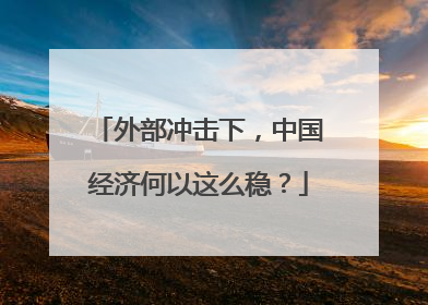 外部冲击下，中国经济何以这么稳？