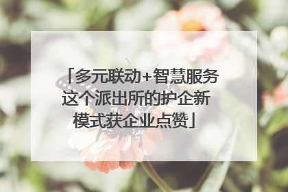 多元联动+智慧服务 这个派出所的护企新模式获企业点赞