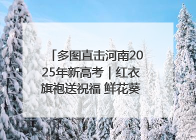 多图直击河南2025年新高考｜红衣旗袍送祝福 鲜花葵花助梦圆——尉氏县高考暖心送考