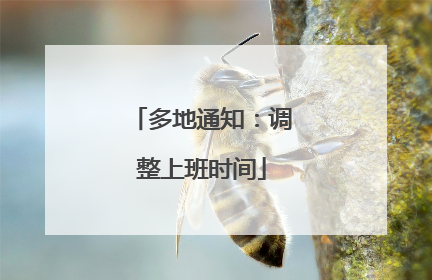 多地通知：调整上班时间