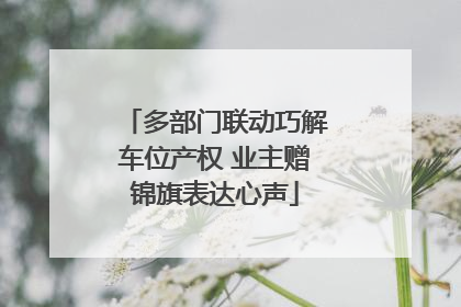 多部门联动巧解车位产权 业主赠锦旗表达心声