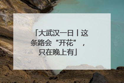 大武汉一日丨这条路会“开花”，只在晚上有