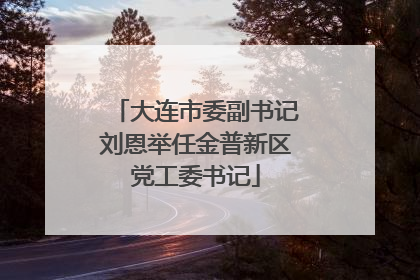 大连市委副书记刘恩举任金普新区党工委书记