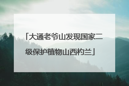 大通老爷山发现国家二级保护植物山西杓兰
