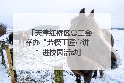 天津红桥区总工会举办“劳模工匠宣讲”进校园活动