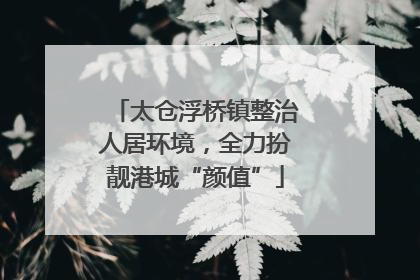 太仓浮桥镇整治人居环境，全力扮靓港城“颜值”