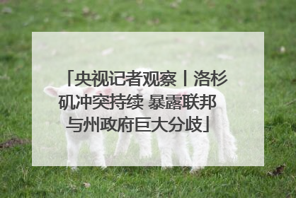央视记者观察丨洛杉矶冲突持续 暴露联邦与州政府巨大分歧