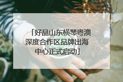 好品山东横琴粤澳深度合作区品牌出海中心正式启动
