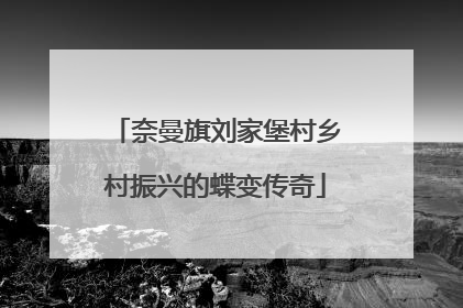 奈曼旗刘家堡村乡村振兴的蝶变传奇