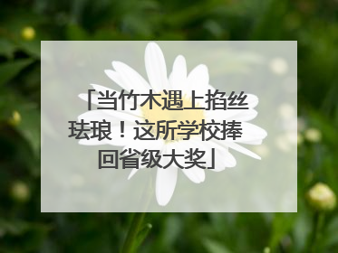 当竹木遇上掐丝珐琅！这所学校捧回省级大奖