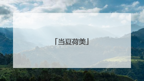 当夏荷美