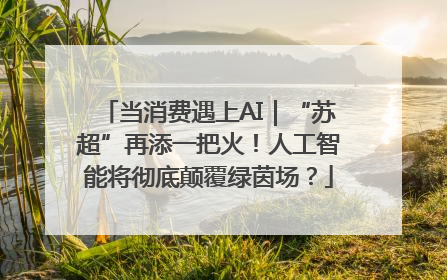 当消费遇上AI｜“苏超”再添一把火！人工智能将彻底颠覆绿茵场？
