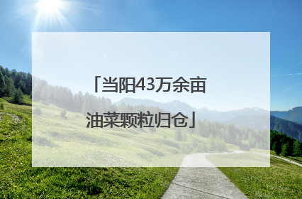 当阳43万余亩油菜颗粒归仓