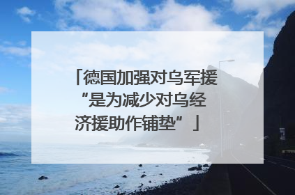 德国加强对乌军援 “是为减少对乌经济援助作铺垫”