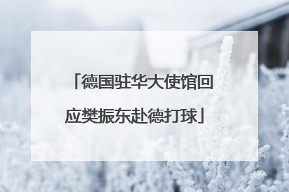 德国驻华大使馆回应樊振东赴德打球