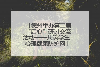 德州举办第二届“启心”研讨交流活动——共筑学生心理健康防护网