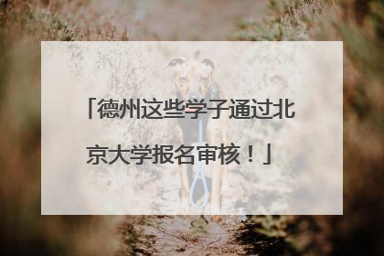 德州这些学子通过北京大学报名审核！