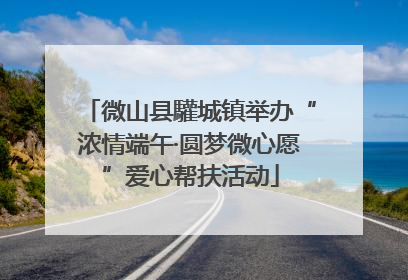 微山县驩城镇举办“浓情端午·圆梦微心愿”爱心帮扶活动