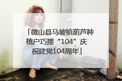 微山县马坡镇葫芦种植户巧摆“104”庆祝建党104周年