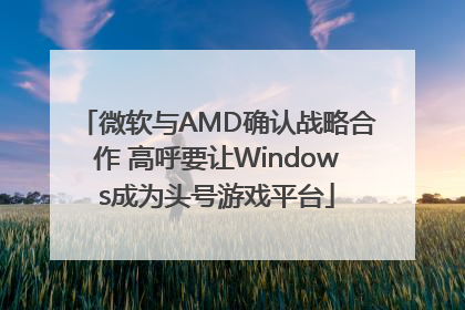 微软与AMD确认战略合作 高呼要让Windows成为头号游戏平台