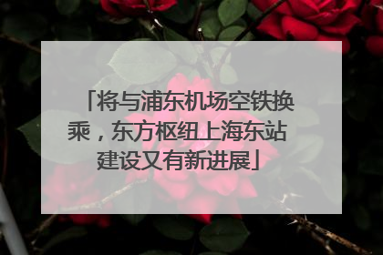 将与浦东机场空铁换乘，东方枢纽上海东站建设又有新进展