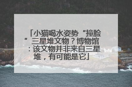 小猫喝水姿势“撞脸”三星堆文物？博物馆：该文物并非来自三星堆，有可能是它