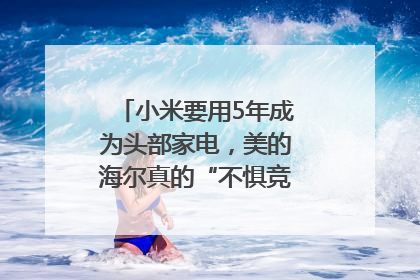 小米要用5年成为头部家电，美的海尔真的“不惧竞争”？｜热财经