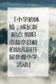 小学初体验，成长新起点 绵阳市盐亭县岐伯幼儿园开展参观小学活动