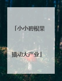 小小碧根果撬动大产业