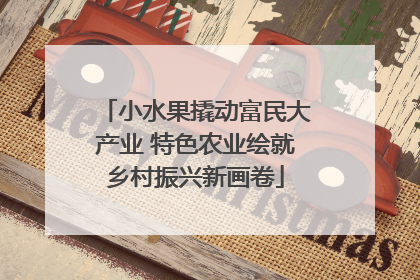 小水果撬动富民大产业 特色农业绘就乡村振兴新画卷
