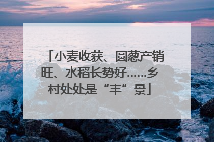 小麦收获、圆葱产销旺、水稻长势好……乡村处处是“丰”景