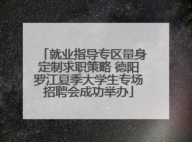 就业指导专区量身定制求职策略 德阳罗江夏季大学生专场招聘会成功举办