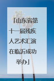 山东省第十一届残疾人艺术汇演在临沂成功举办