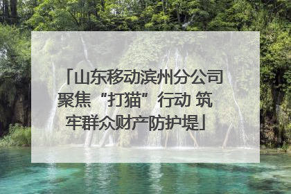 山东移动滨州分公司聚焦“打猫”行动 筑牢群众财产防护堤