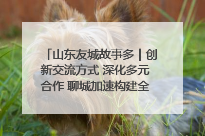 山东友城故事多｜创新交流方式 深化多元合作 聊城加速构建全球友城新格局