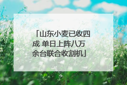 山东小麦已收四成 单日上阵八万余台联合收割机