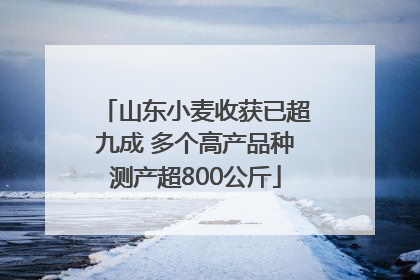 山东小麦收获已超九成 多个高产品种测产超800公斤