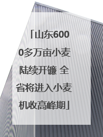 山东6000多万亩小麦陆续开镰 全省将进入小麦机收高峰期