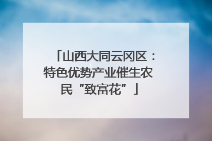 山西大同云冈区：特色优势产业催生农民“致富花”